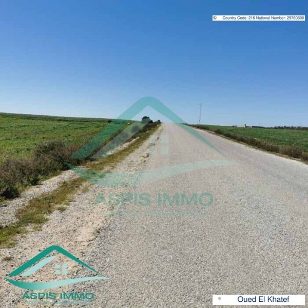 aspis-immo