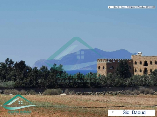aspis-immo