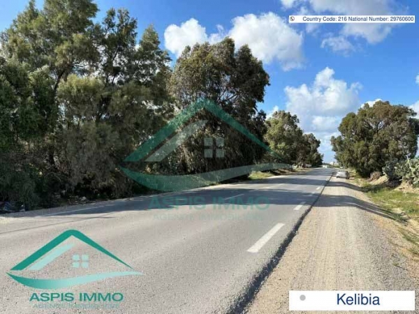 aspis-immo