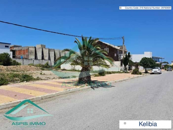 aspis-immo