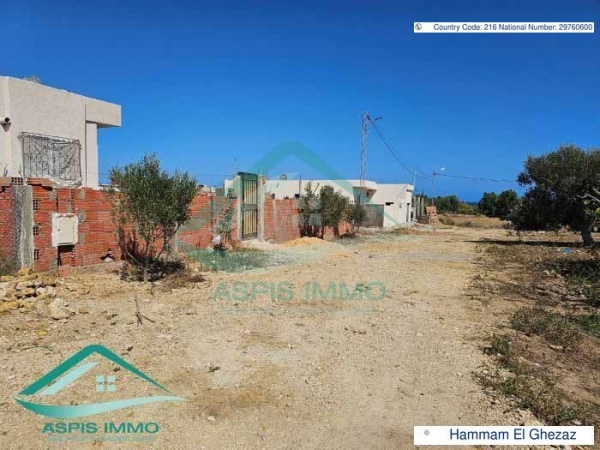 aspis-immo