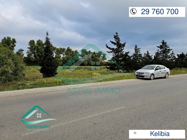 aspis-immo