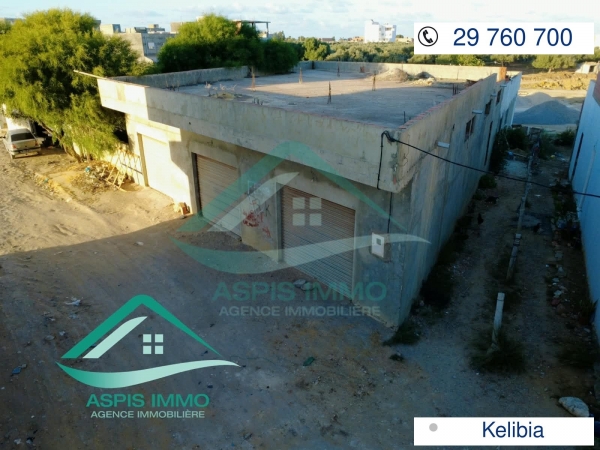 aspis-immo